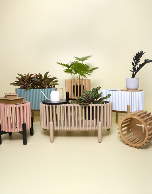 Biin Plant Stand